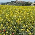Villa Torrent Costa Brava, Con Piscina Privada! *